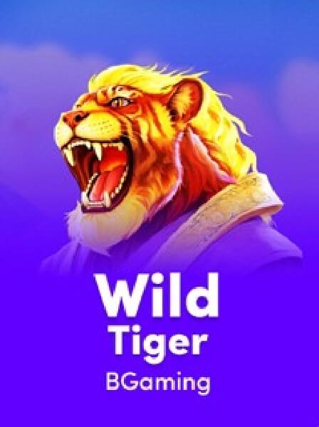 FantasyBet Sports: Nền tảng lý tưởng cho người đam mê thể thao cá cược